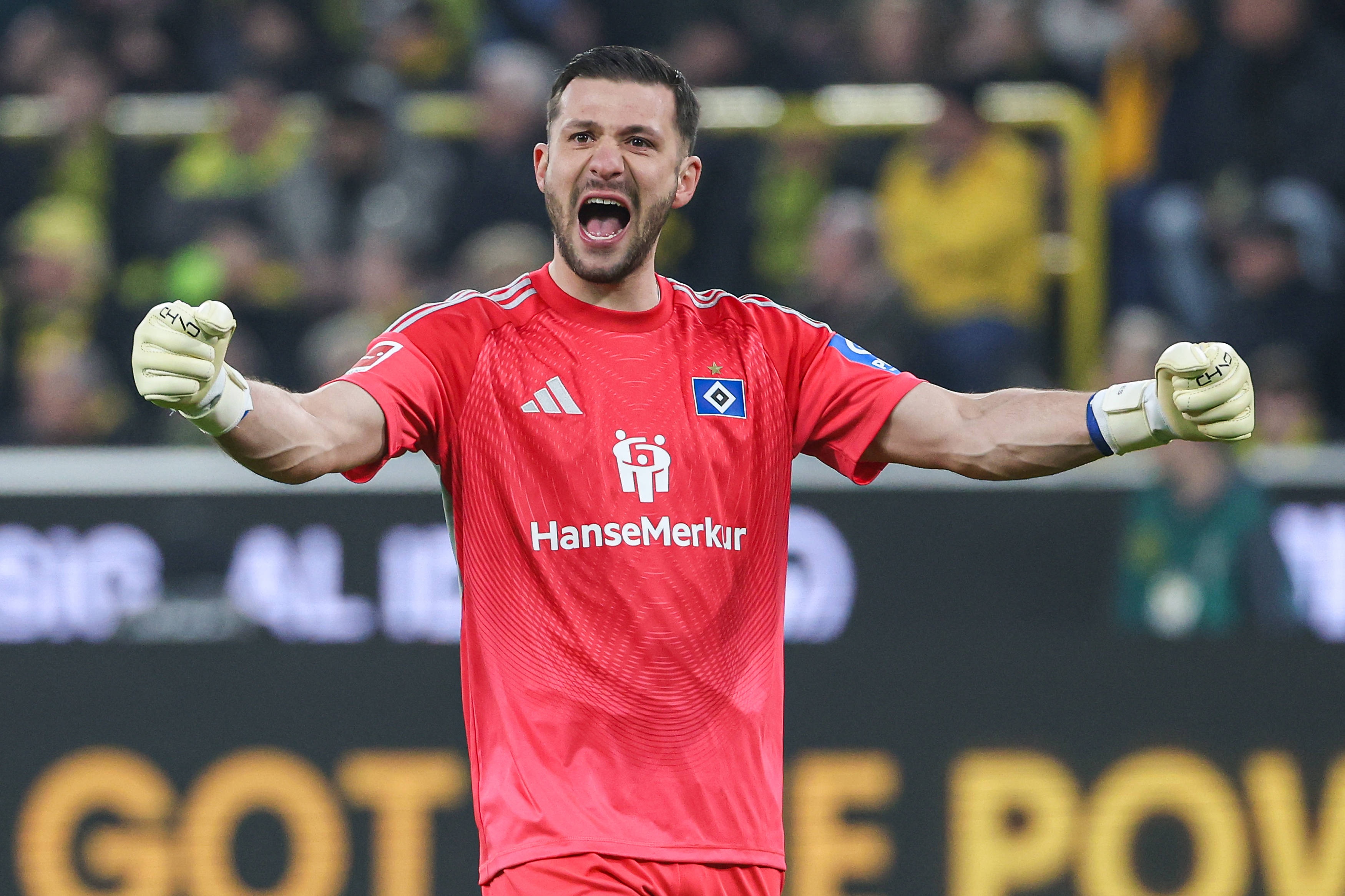 开云APP-图片报：为下赛季寻找二号门将，拜仁有意汉堡33岁老将费尔南德斯